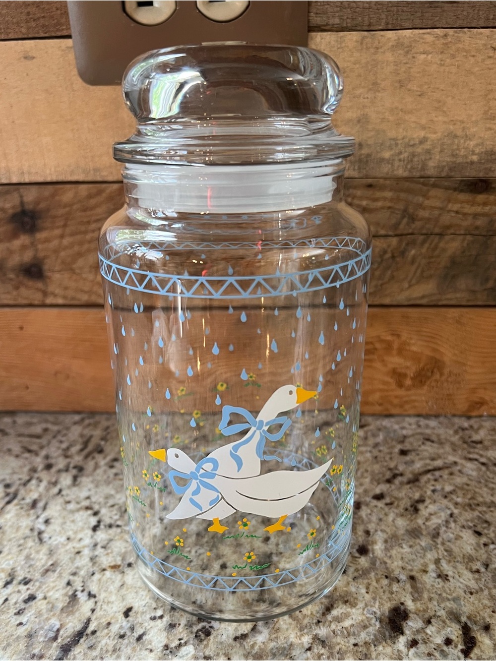 Vintage Cottagecore Glass lidded Jar with Blue Ribbon Ducks - like new